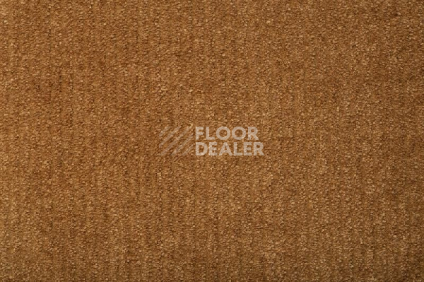 Ковролин Balta ITC Eliot 56 фото 1 | FLOORDEALER